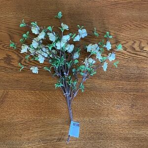 Quince Cream Bundle- Home Accents